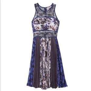 Rebecca Taylor Grey Gardens Pleated Silk Dress